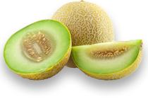 Melón Galia