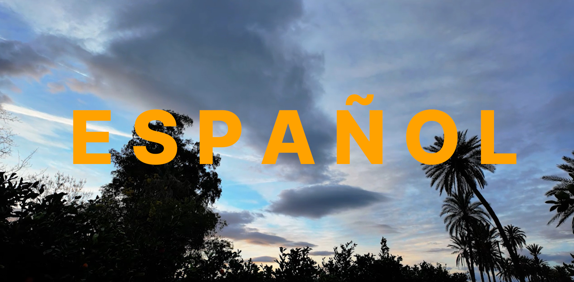 Versión en Español